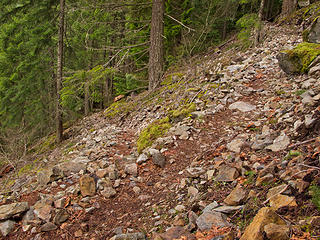 Typical section of Kamikaze new trail. 
2/12/11 Mt Si trailhead to Kamikaze Falls.