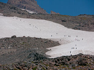 muir ants. 
MRNP Reflection lak-Paradise loop 8/25/12