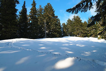 Looking back on my route .3mi,300ft from summit