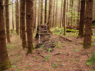 Old abandoned mtn bike park on the "Later" trail. 
2/12/11 Mt Si trailhead to Kamikaze Falls.