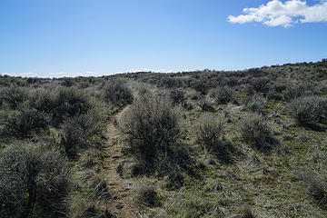 A lot of Sagebrush and open country.