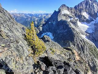 the little tree ledge, people have repelled here before