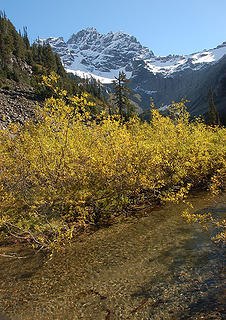 Stream Near Glacier Basin