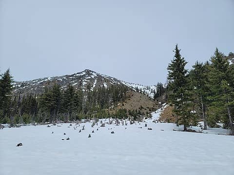 Looking up the drainage used to access the ridge. So much melt.