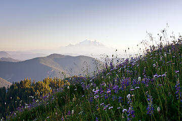 Pilchuck with flowers
