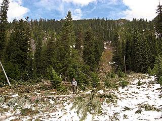 Avalanche Destruction Across from Alpental Parking Lot