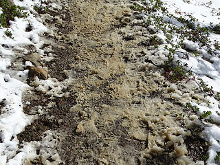 Trail melting out.