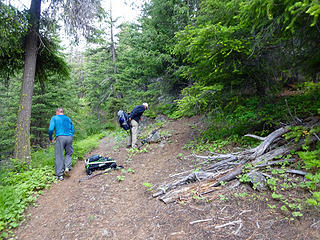 Junction of Wolf Ck Trail and Milton Mtn Trail at about the 4 mile mark.