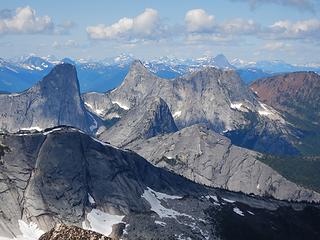 Steinbok, Ibex and Chamois