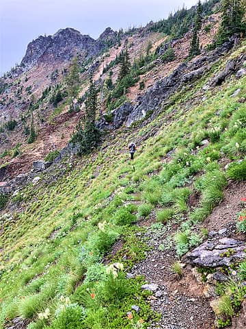 steve heading back from rocky washout.