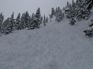 Debris from a very recent avalanche