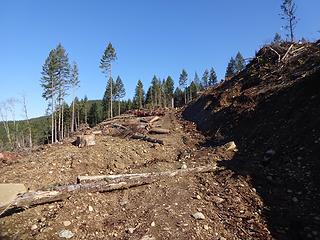 Decommissioned road now becoming trail.