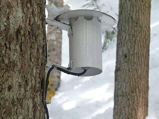 Name that thing . . . a light? an electric bird feeder?