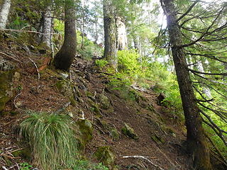 Proceed to the SE ridge via this steep duff covered basalt slope