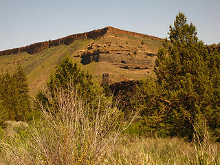 Meadow near confluence