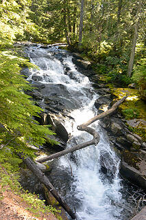 Madcap Falls, Wonderland Trail, Mount Rainer NP