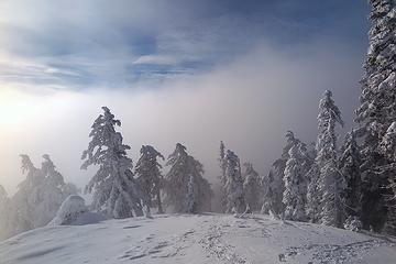 Blue sky above