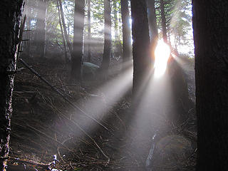 Sun Rays Its all about timing and angle 3 Tiger Mtn Summits, From chirico, through Poo top, 01/22/11