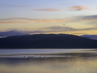 Potlatch State Park 2