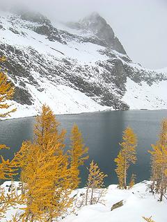 Larches & Lake