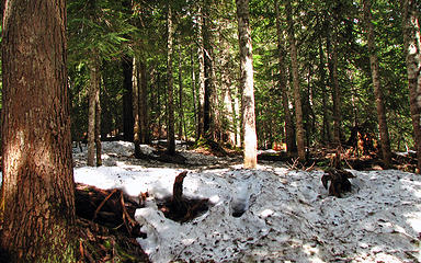 Constant snow appears on the trail after leaving Mason Lake