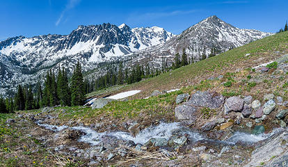 One of many streams near the meadow