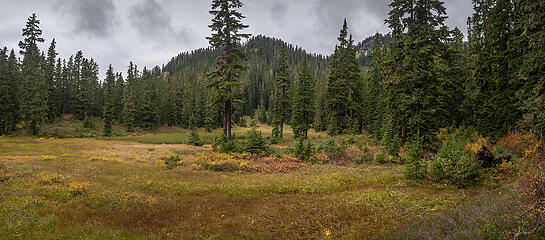 Kendall First Lake is filling in  - lots of colorful vegetation. Watched several Dipper birds at work.