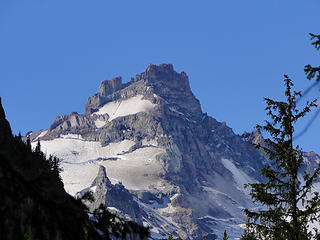 Little Tahoma from Glacier Basin trail.