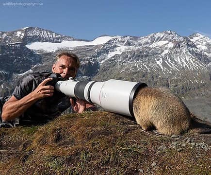 How to take wildlife photos