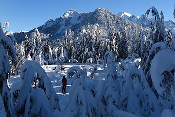 Just below the summit of Stewart