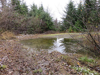 Giant puddle at the saddle. You could almost canoe on  this thing!