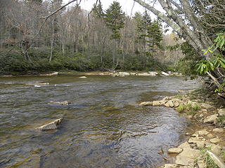 Shavers Fork south of Glade Run