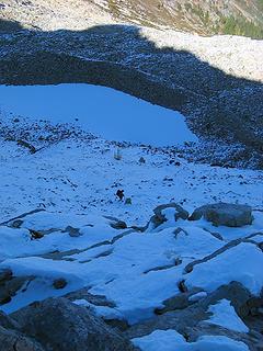 cartman ascending the snowy boulders, with Friscos shadow on the morraine