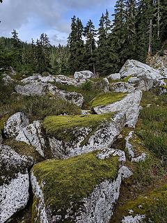 Mossy covered talus
