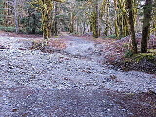 Garfield wash. No water at road today, but was flowing above and below