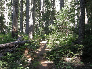 Continuing up trail to Lake Eleanor.