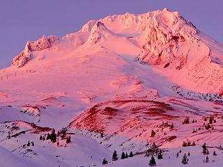 Mount Hood in Winters Splendor