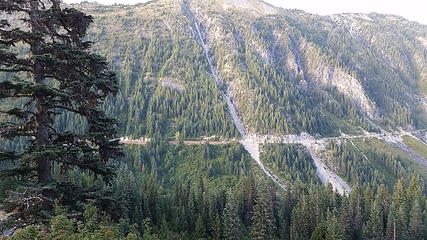 Not very apparent as we were on the road in the immediate area, the various slide areas were interesting to note as we climbed out of the valley on the way toward Paradise or Longmire.