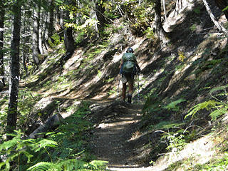 Lone hiker on lower Shriner Peak trail.