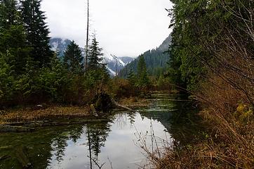 peaceful pond