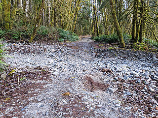 Oil Pan Creek. The "edges" of the filled in road way are gone but the wash is not eroded very badly yet