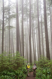 On the trail from Third Beach