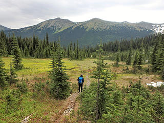 Entering a nice flowery meadow