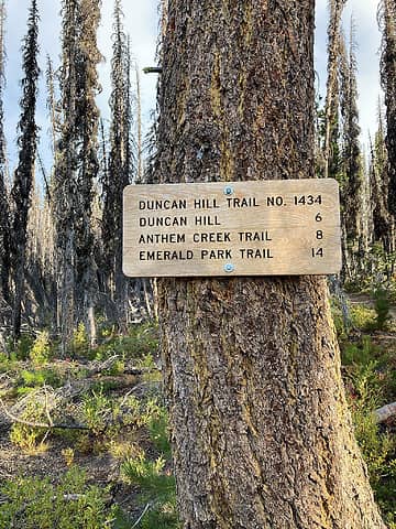 you are in denial if you think the trail goes all the way through from Anthem Creek to the Emerald Park trail (Snowbrushy).