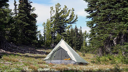 Altaplex on Pinegrass Ridge.