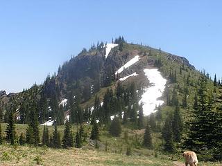 Mutton Mountain with mutt heading up the trail