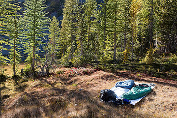 Upper Big Jim meadow camp