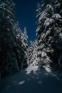 Moonlit Corridor