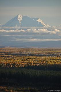 Mt. Moffitt from Big D Bluff