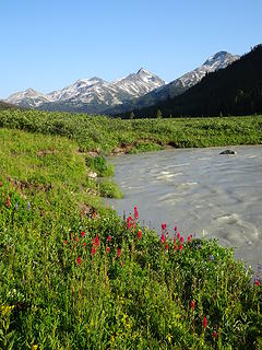 Wildflowers and Slim Creek